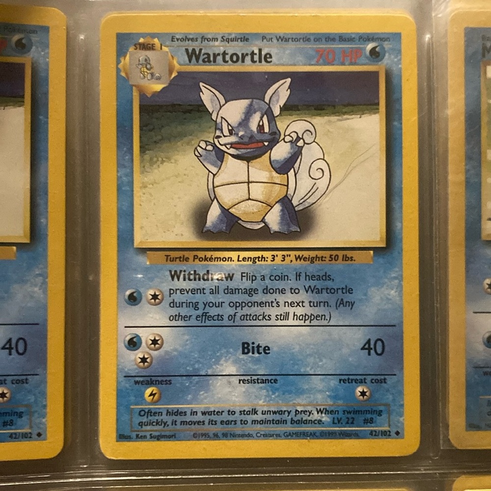 Wartortle 1995-1996